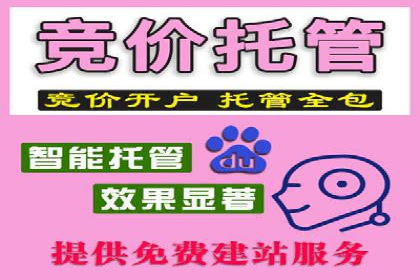 竞价SEM托管解决方案：企业广告投放新思路